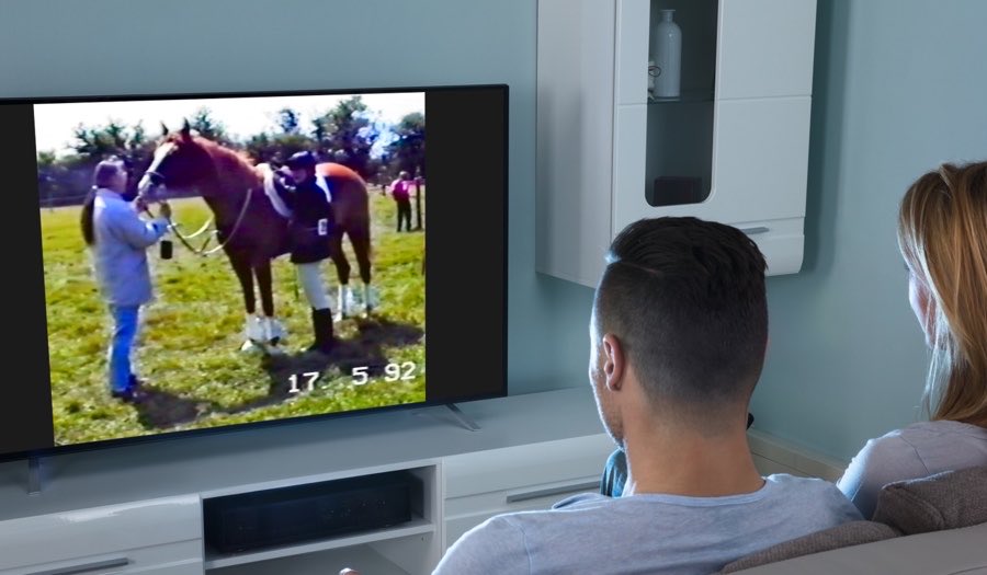 Couple watching an old horse show family home video on thier TV